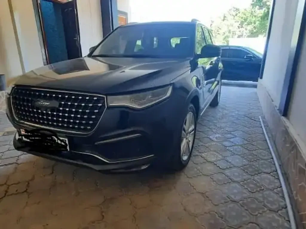Zotye T800