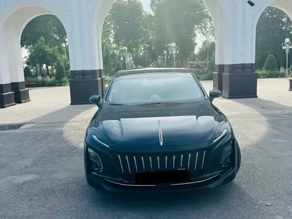 Hongqi E Qm5