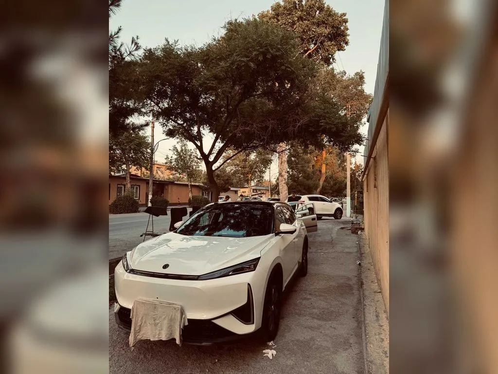 Dongfeng L7