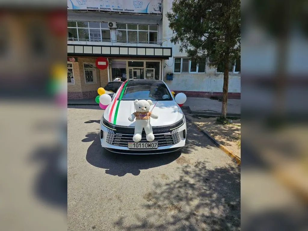 BYD Chazor