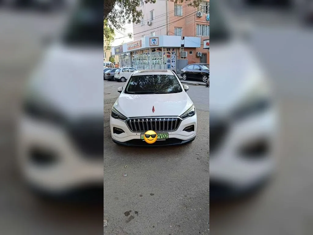 Hongqi E-HS9