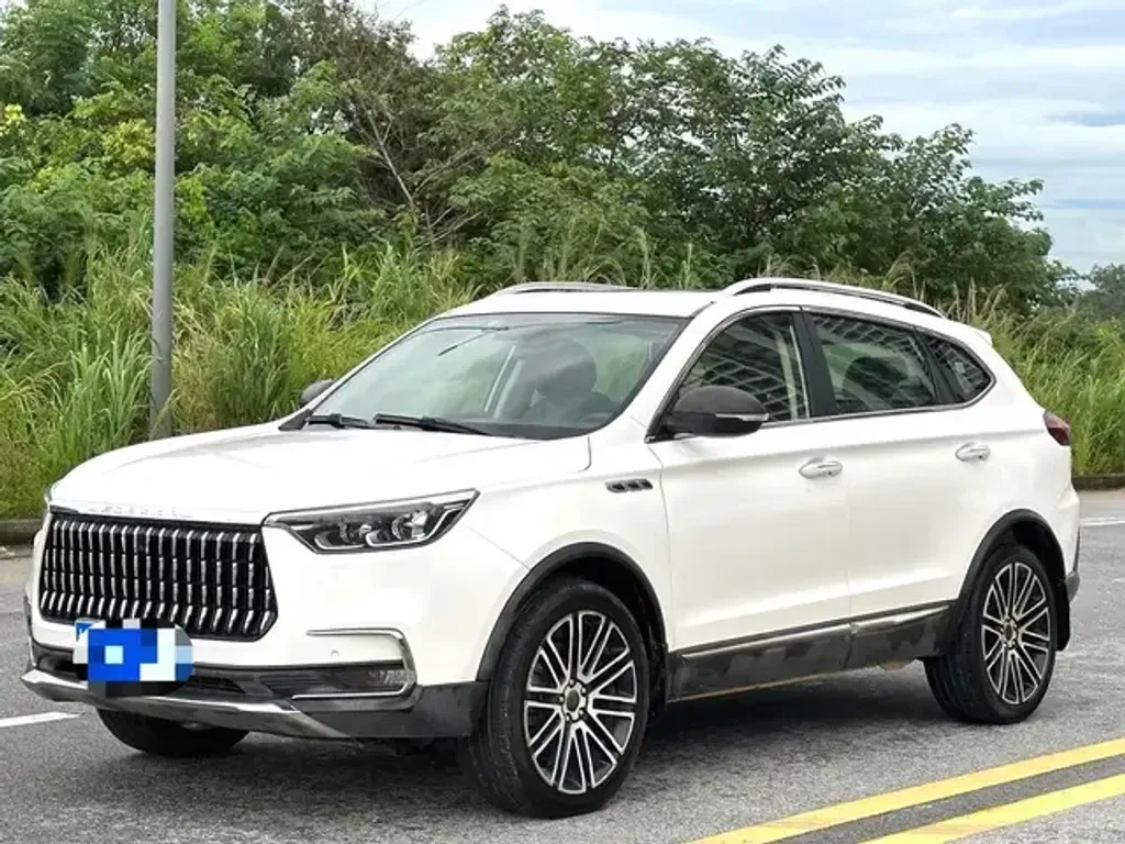 Leopaard Mattu