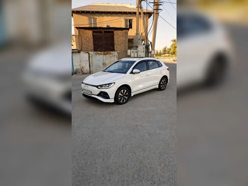 BYD E2