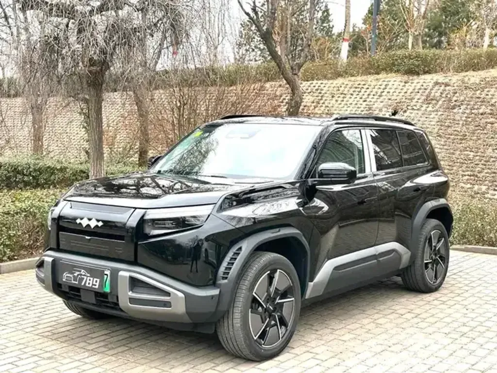 Leopaard Mattu