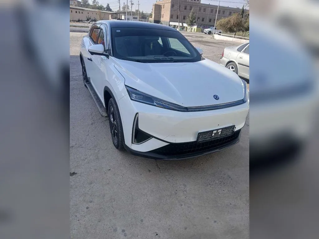 Dongfeng EN 007