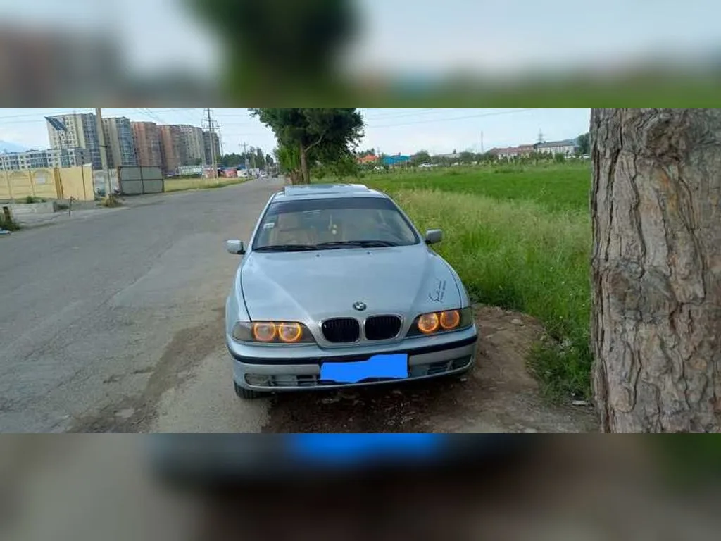 BMW M5