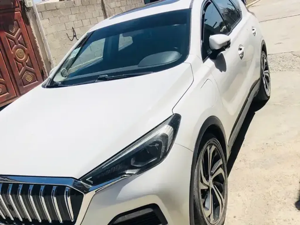 Hongqi Hq9