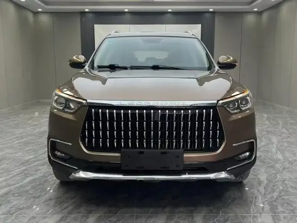 Leopaard Mattu