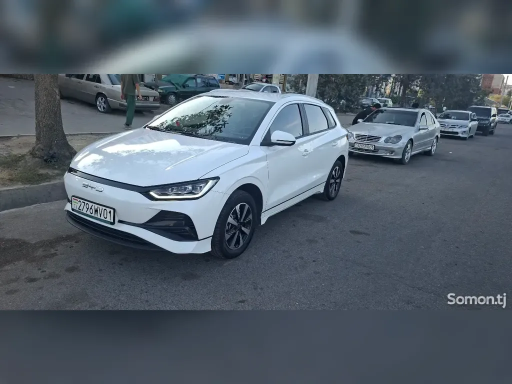 BYD E2