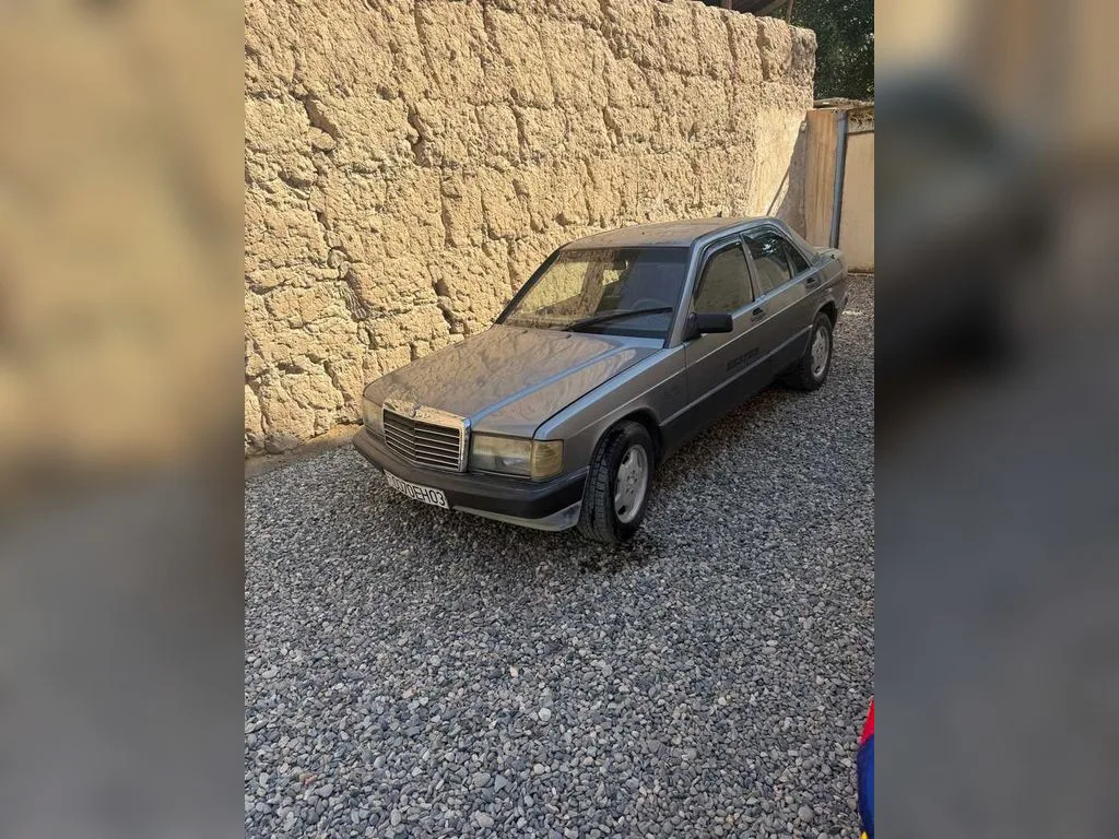 Mercedes-Benz W201