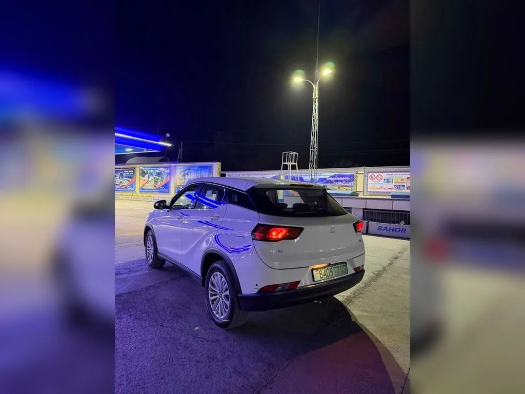 Dongfeng Landian E5