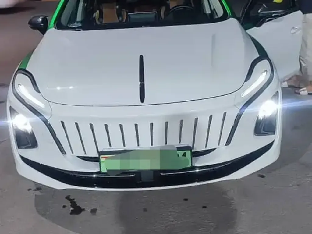 Hongqi E Qm5