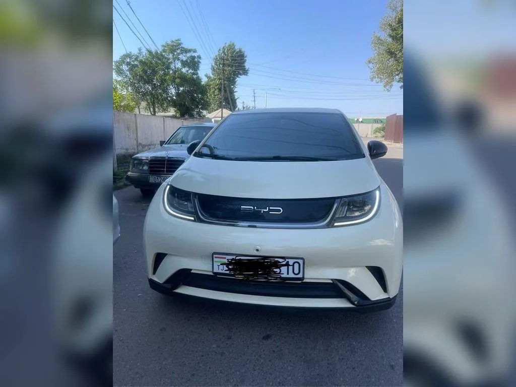 BYD Dolphin