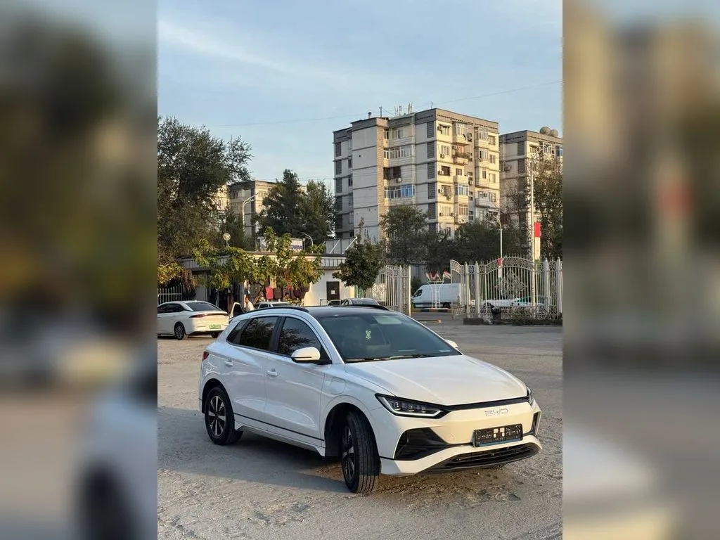 BYD B2