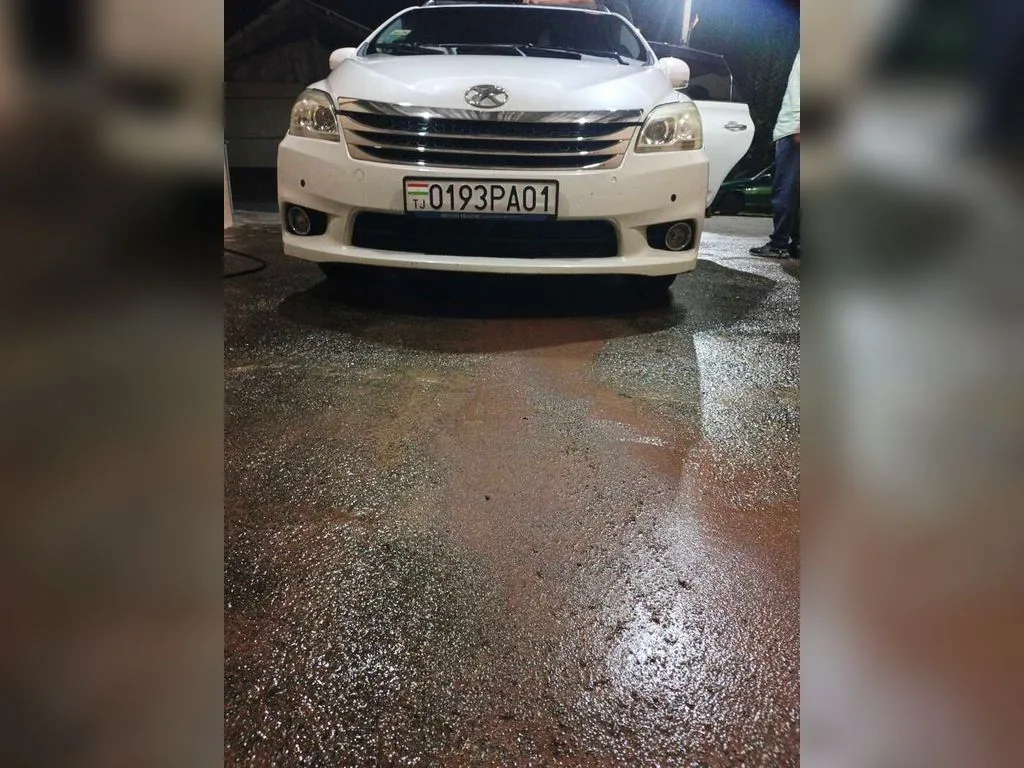 Toyota Mark X Zio