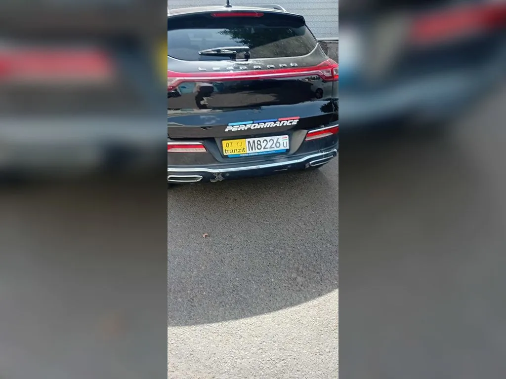 Leopaard Mattu