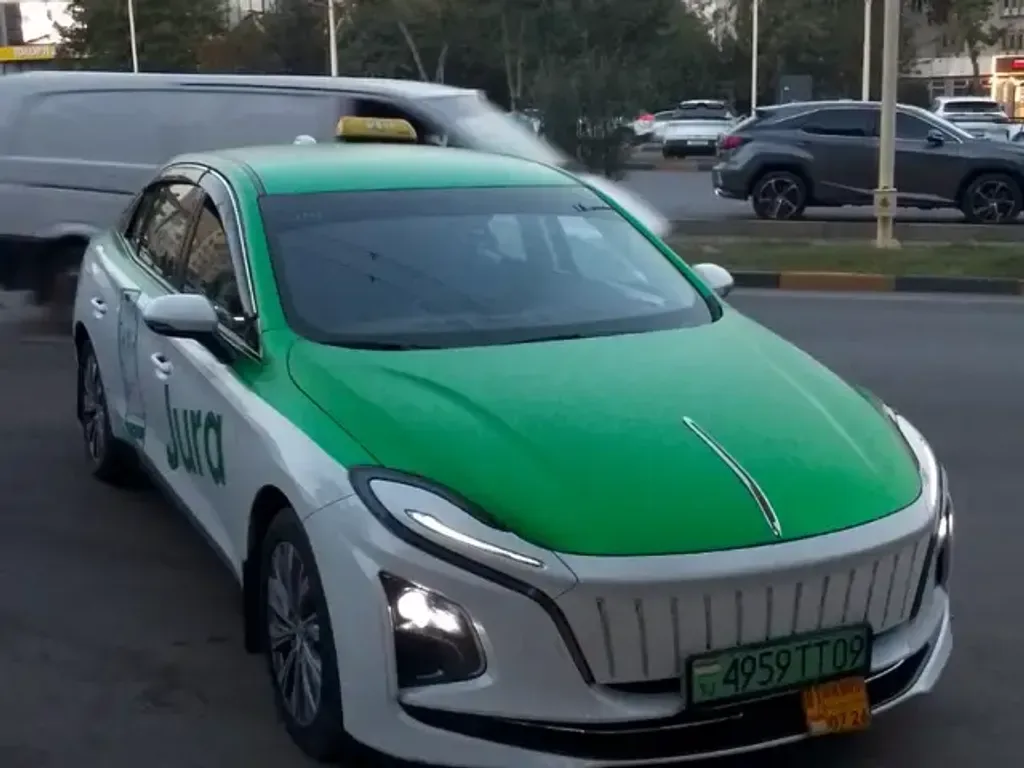 Hongqi E Qm5