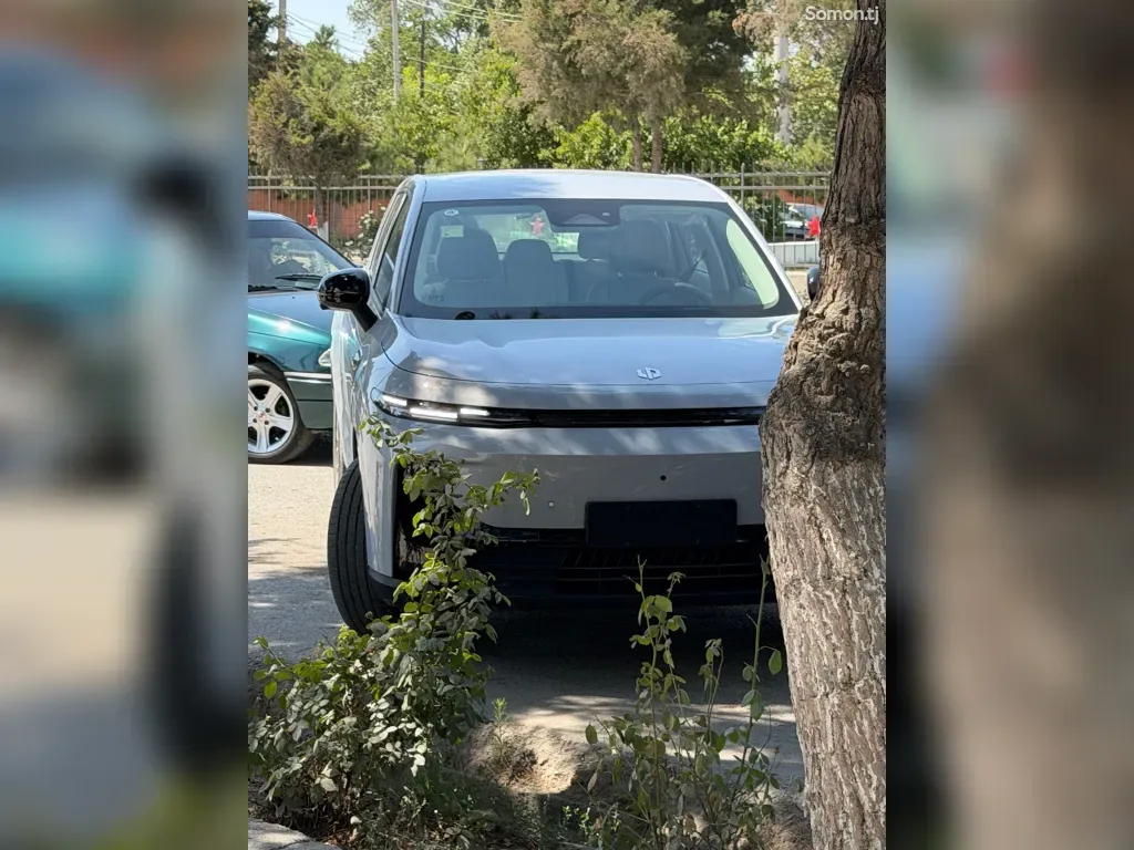 Leapmotor B10