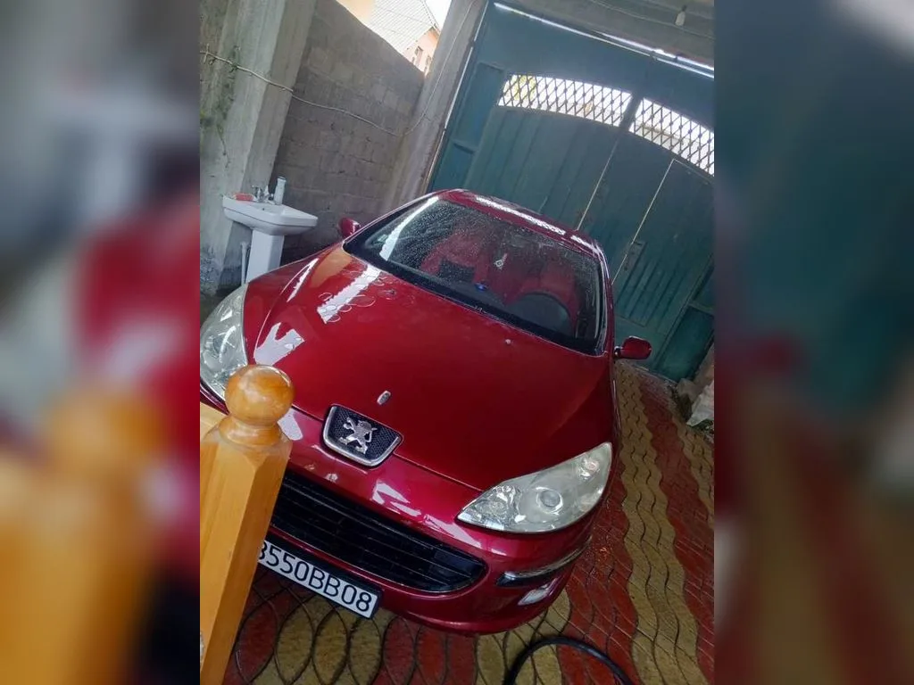 Peugeot 407