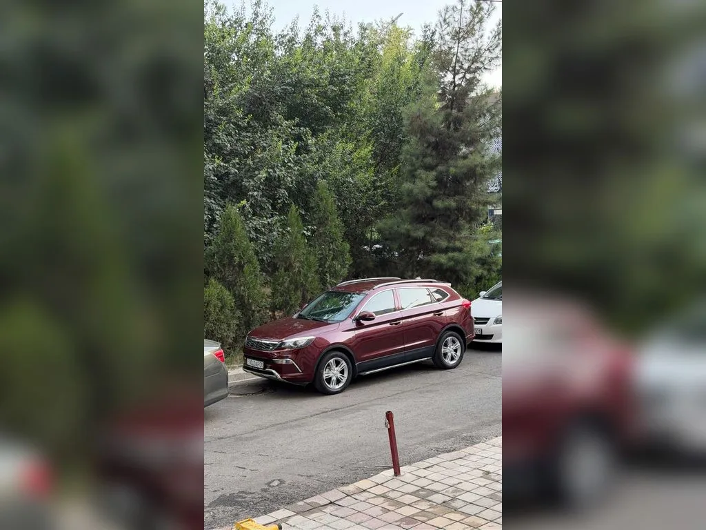 Leopaard Cs10