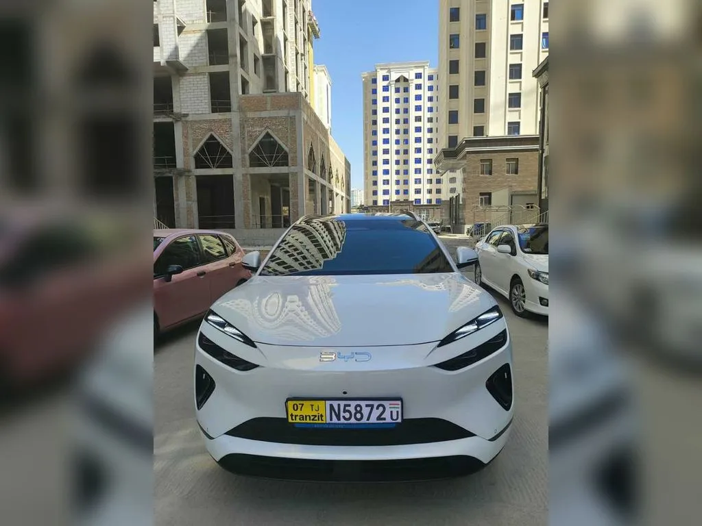 BYD Sea Lion 06