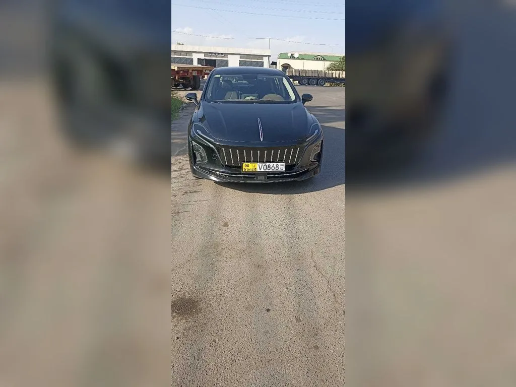 Hongqi E Qm5