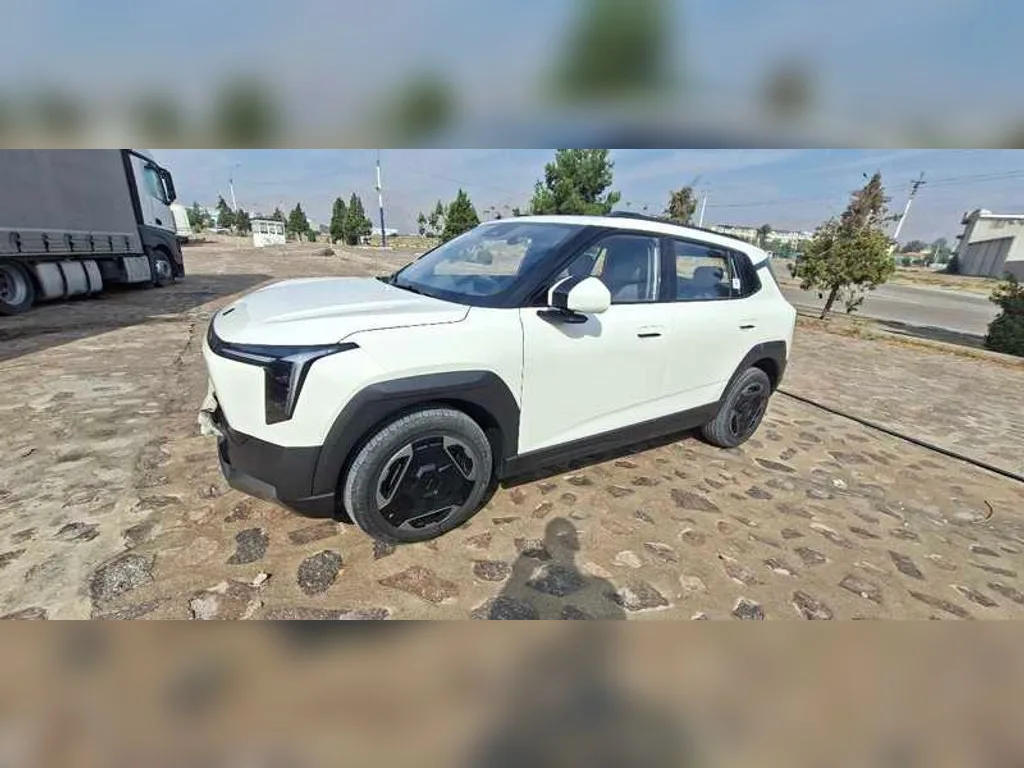 Dongfeng Nammi 06