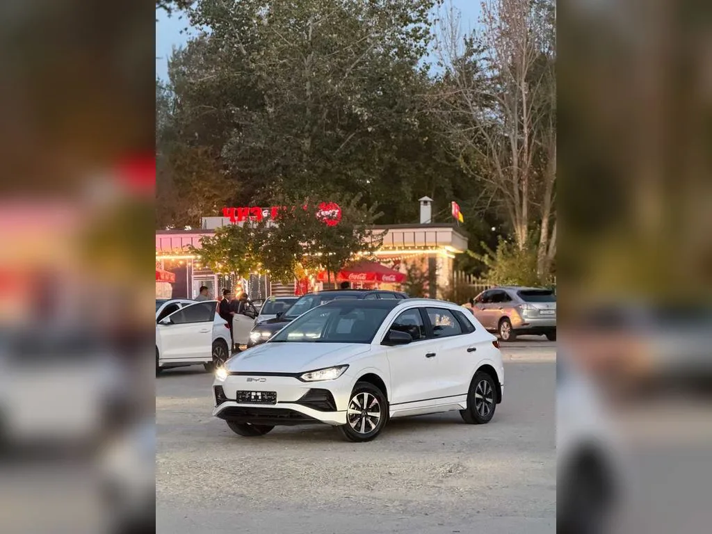 BYD E2