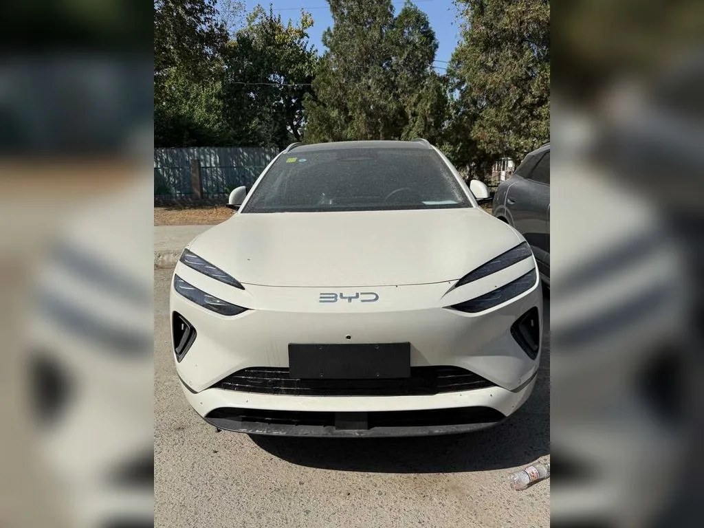 BYD Sea Lion 06