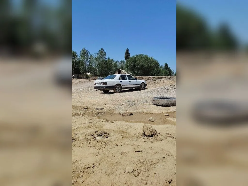 Mercedes-Benz W124