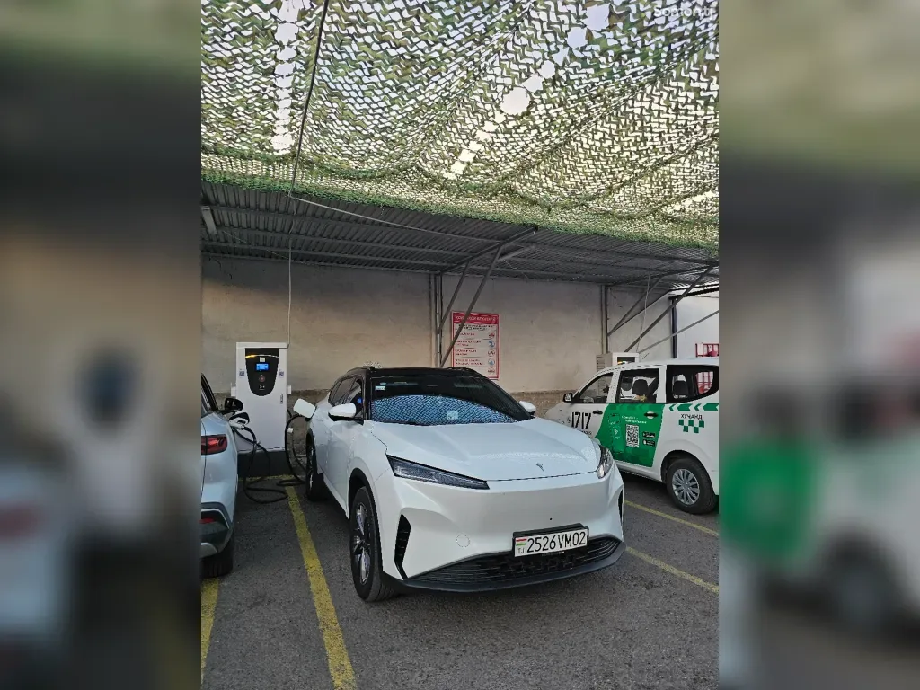 Dongfeng Hedmos 06