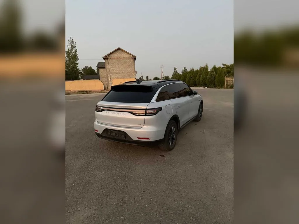 Leapmotor C11