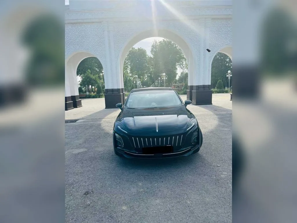 Hongqi E Qm5