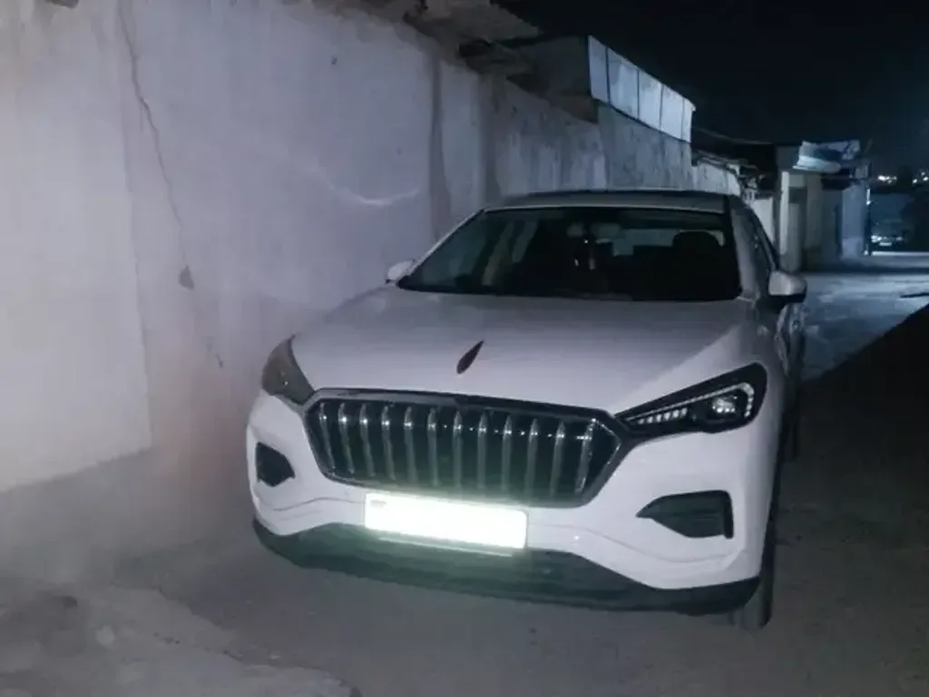 Hongqi E-HS9