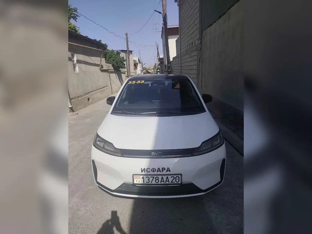 BYD D1