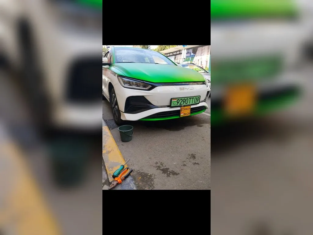 BYD E2