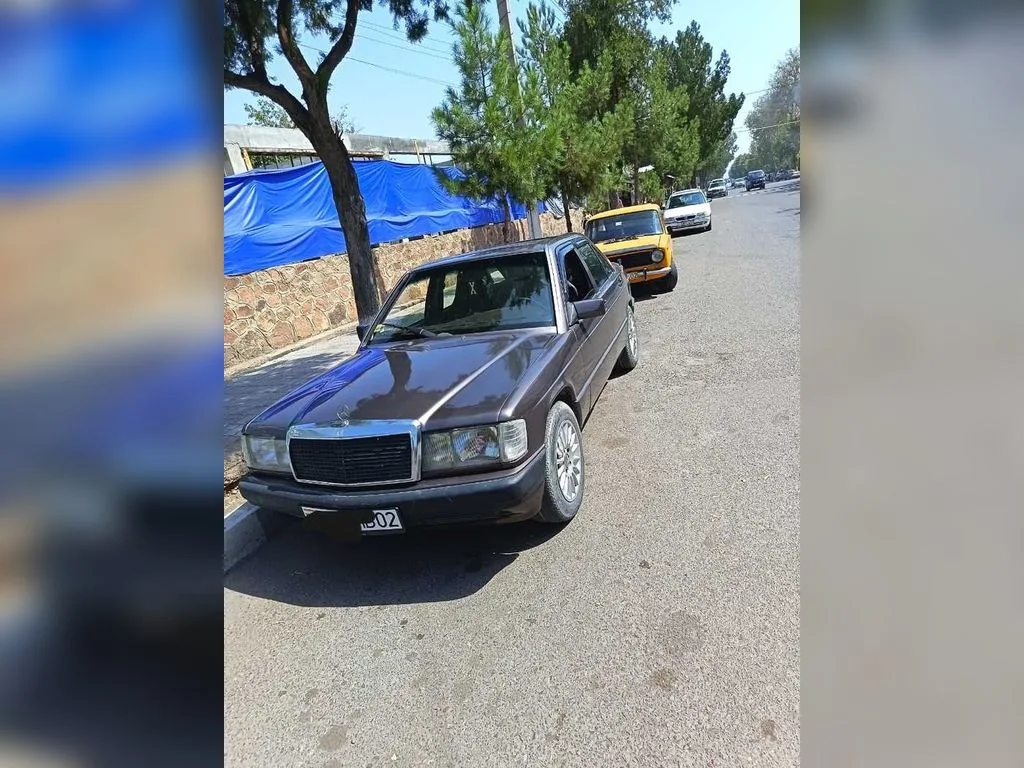 Mercedes-Benz W201