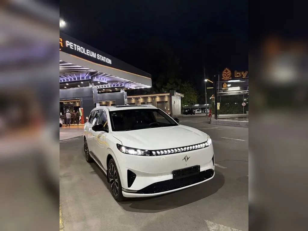 Dongfeng EP 008