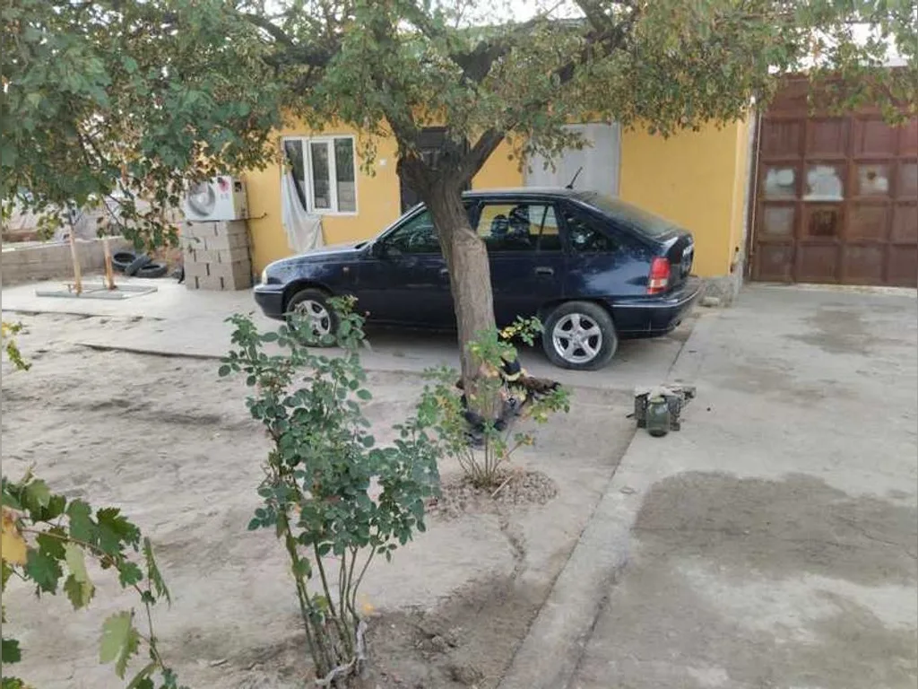 Daewoo Nexia