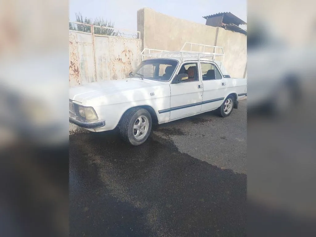 ГАЗ / GAZ 3102