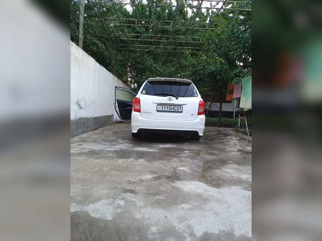 Toyota Fielder