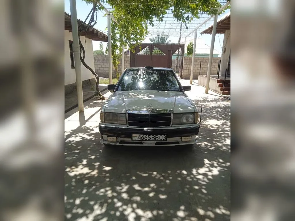 Mercedes-Benz W201