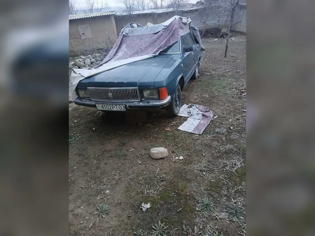 ГАЗ / GAZ 3102