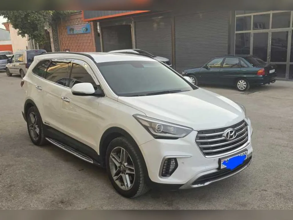 Hyundai Maxcruz