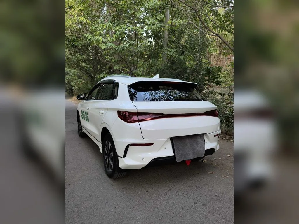 BYD E2