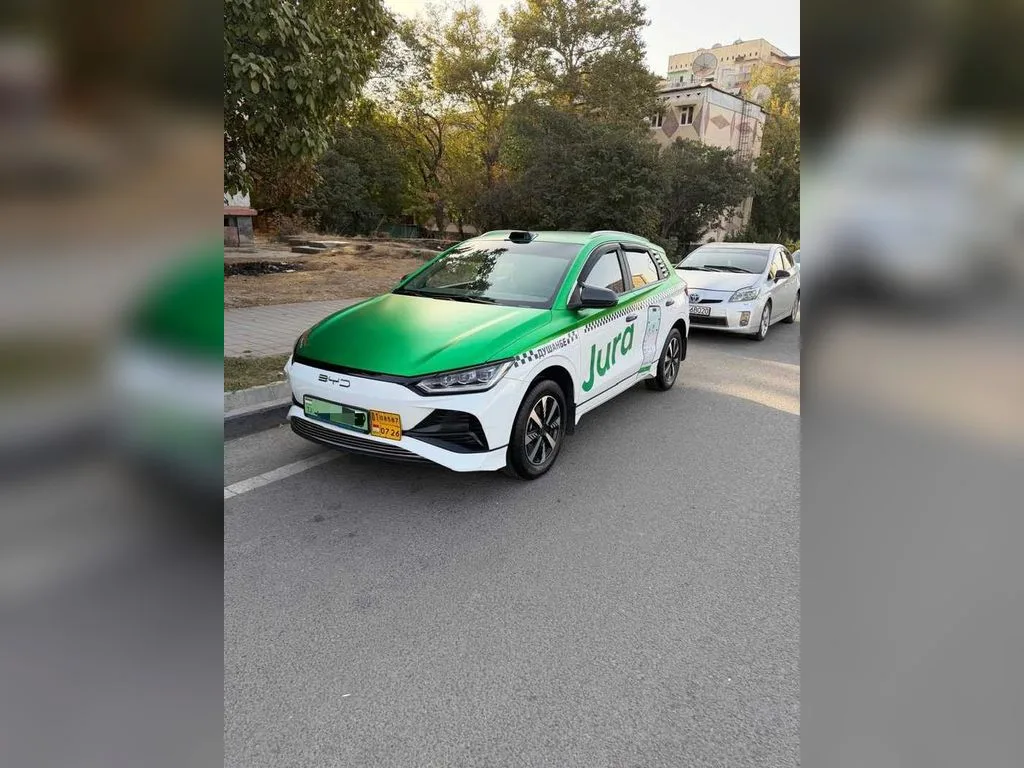 BYD E2