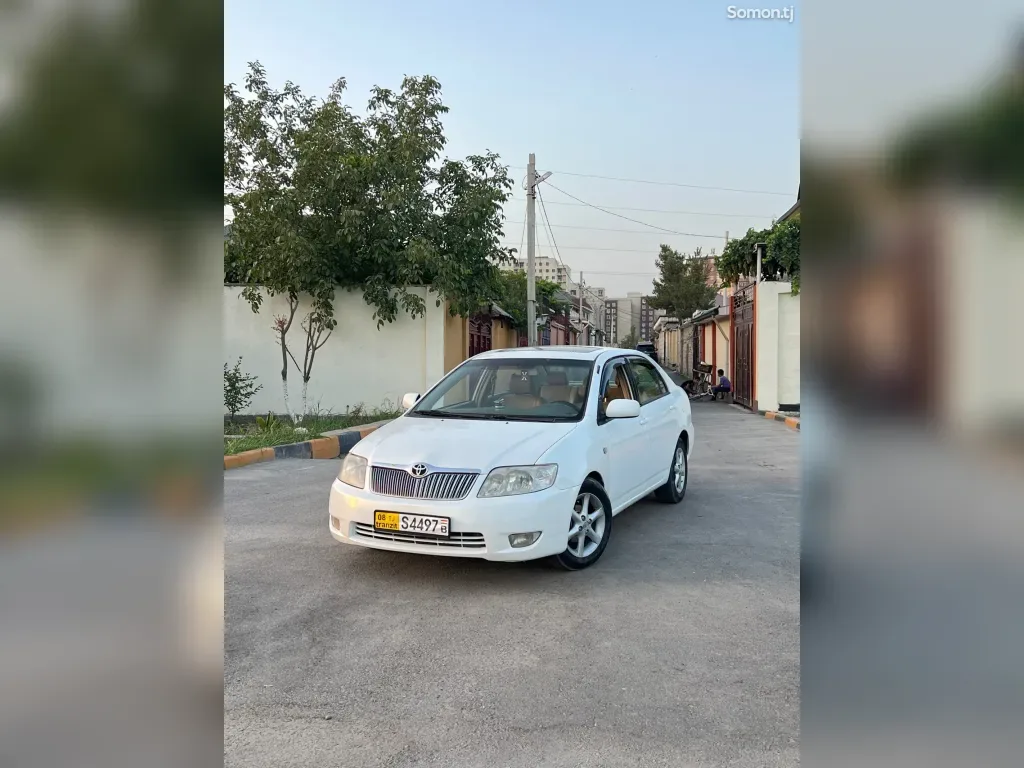 Toyota Corolla
