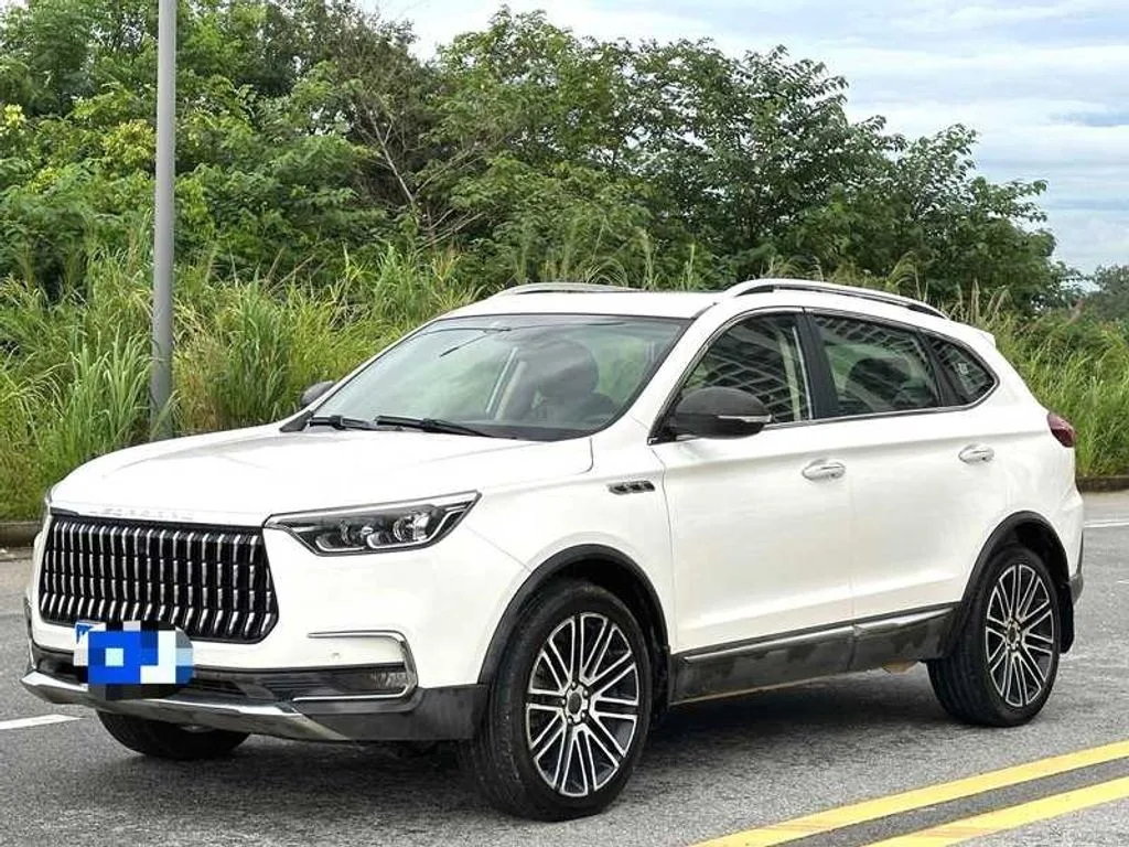 Leopaard Mattu