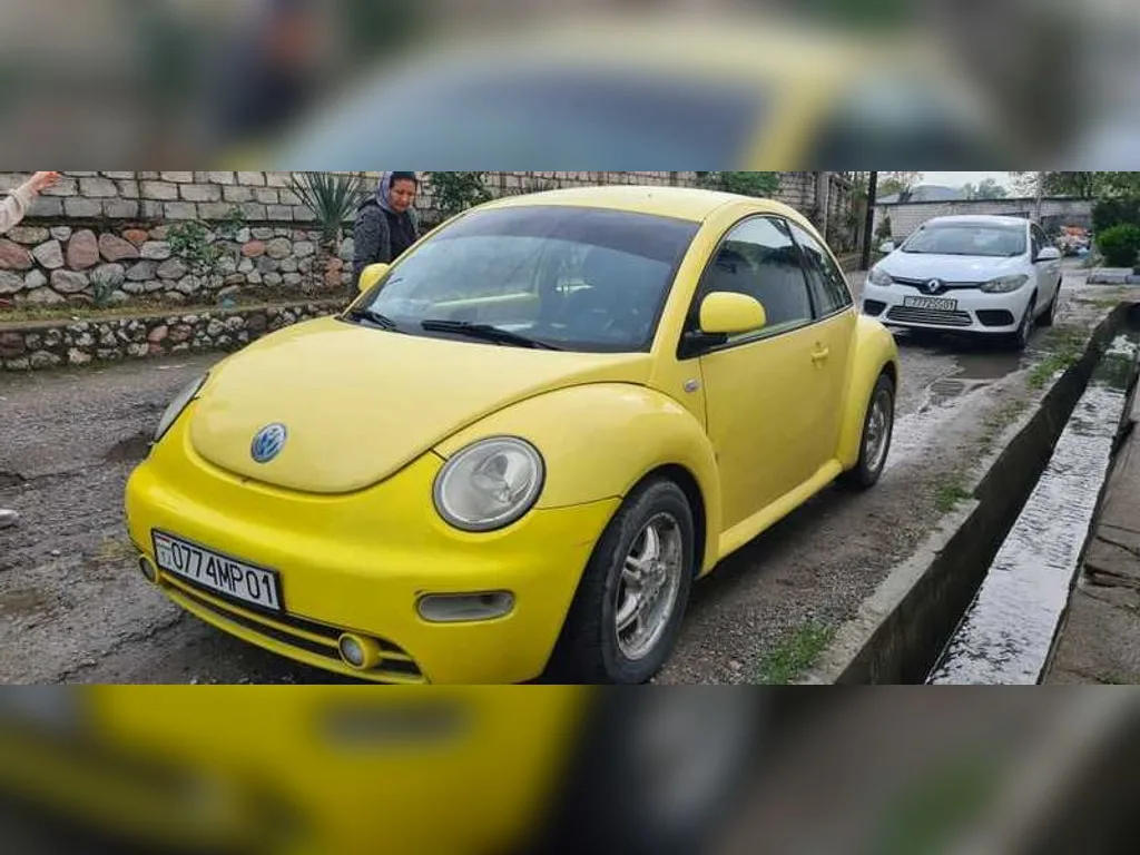 Volkswagen Beetle