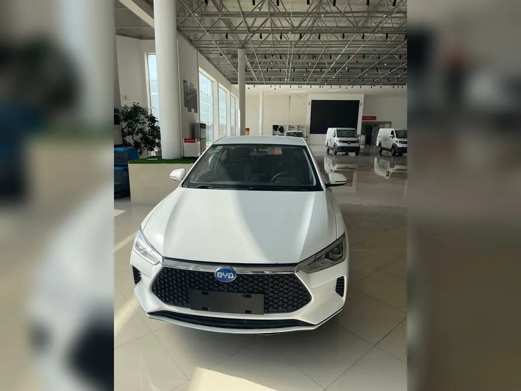 BYD E2